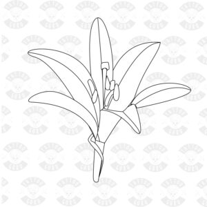 Tattoo lilies